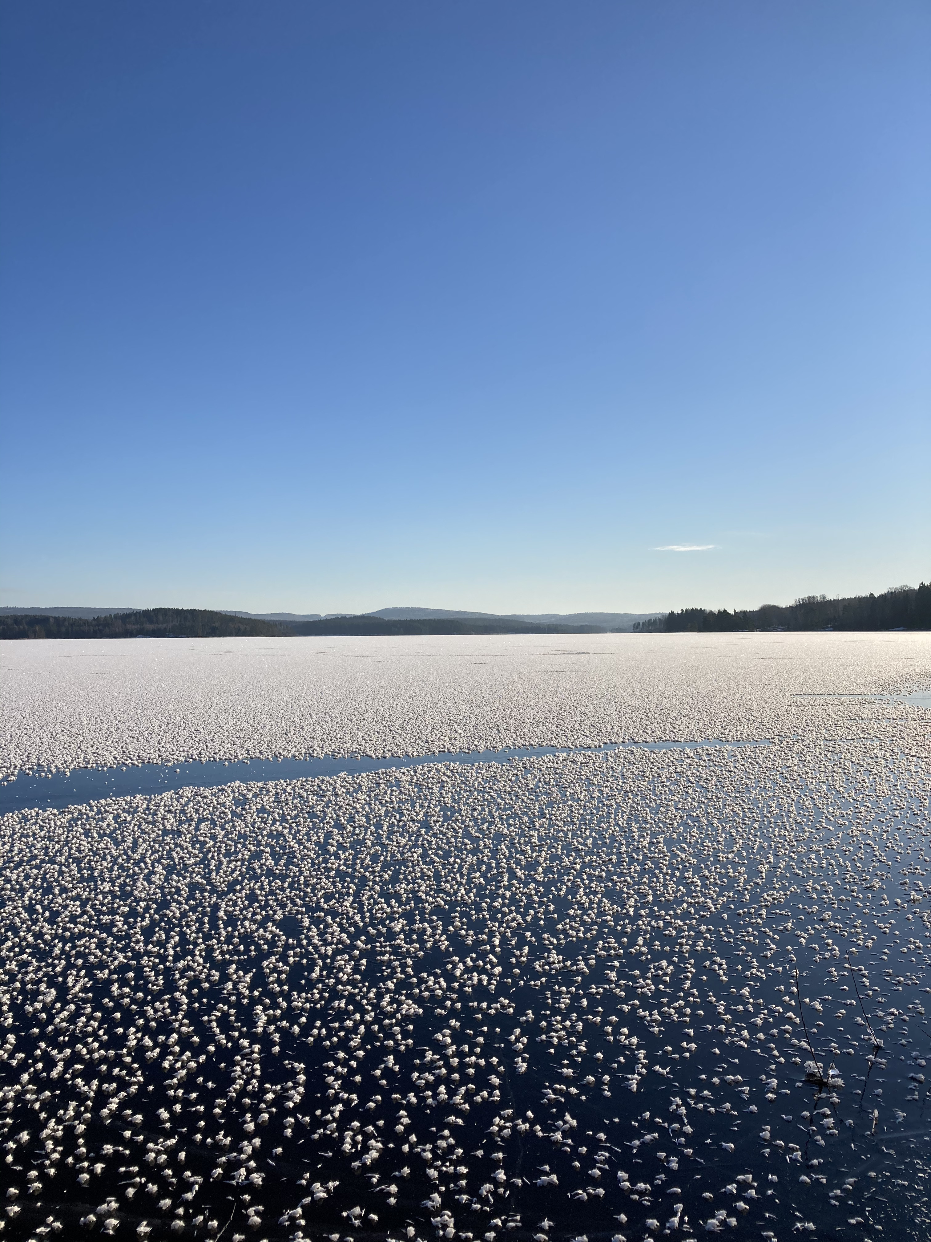 Vinter